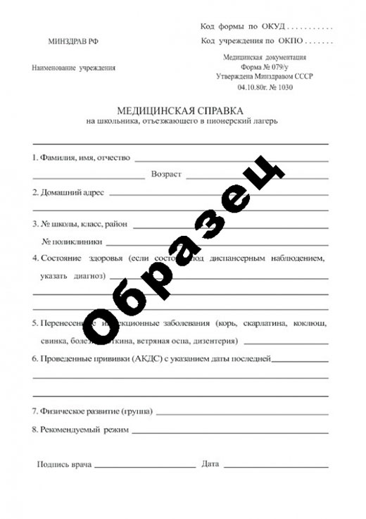 Получить справку в пионерский лагерь в Екатеринбурге Справка в пионерский лагерь в Екатеринбурге